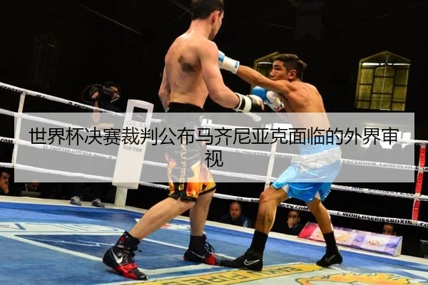 世界杯决赛裁判公布马齐尼亚克面临的外界审视